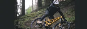 YT Industries capra core